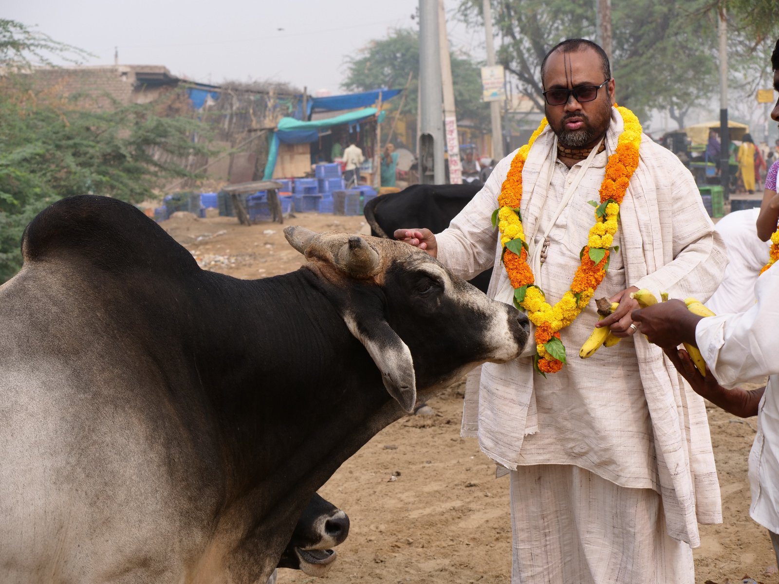  154 Gopashtami Radha kunda Govardhan 19.11.04